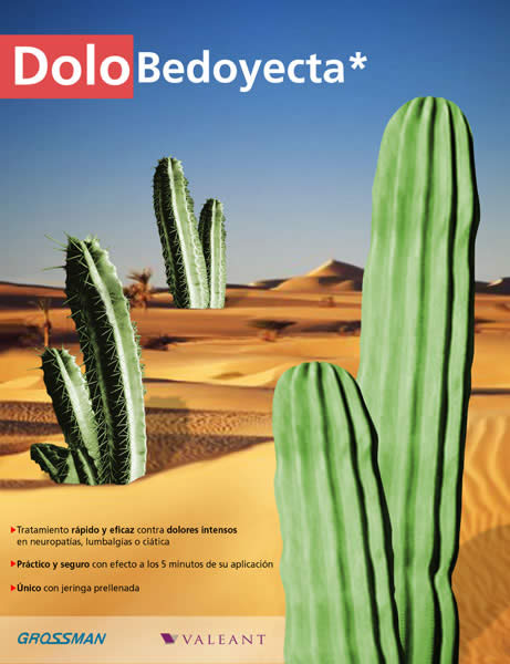 Cactus - 1
