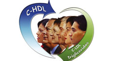 Todos los perfiles