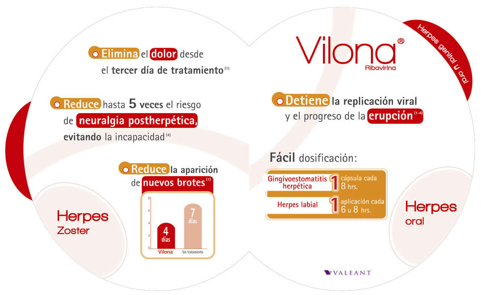 Vilona Adulto - 3