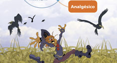 Espantapájaros