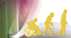 Del Homo anquilosantis al Homo erectus