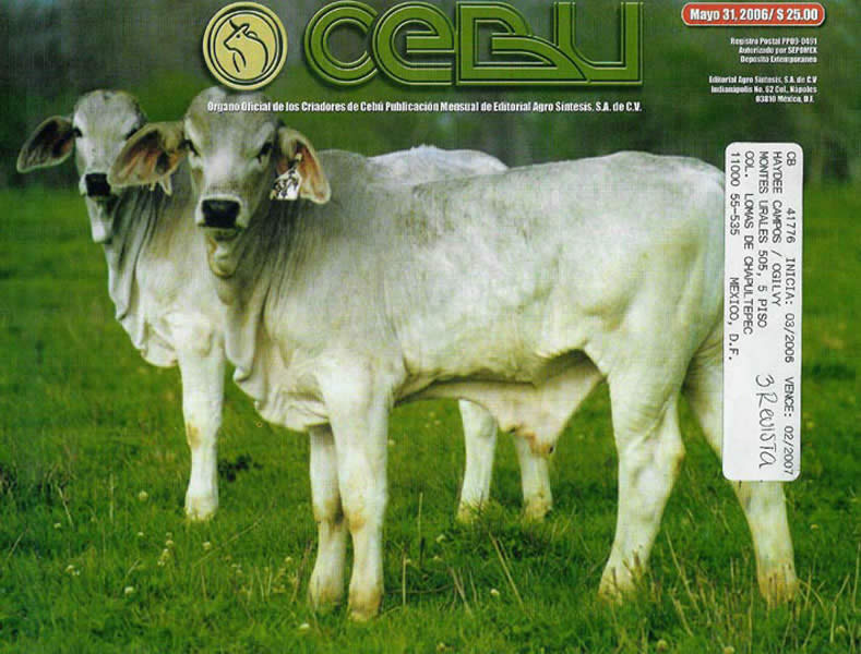 Especialistas en reproducción bovina - 3
