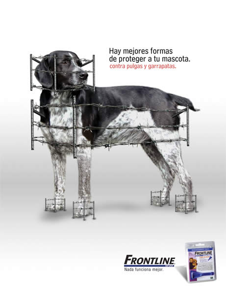 Perros y Gatos - 2