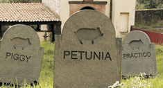 Lápidas