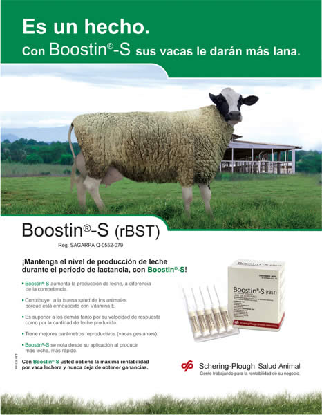 Vaca-Borrego - 1