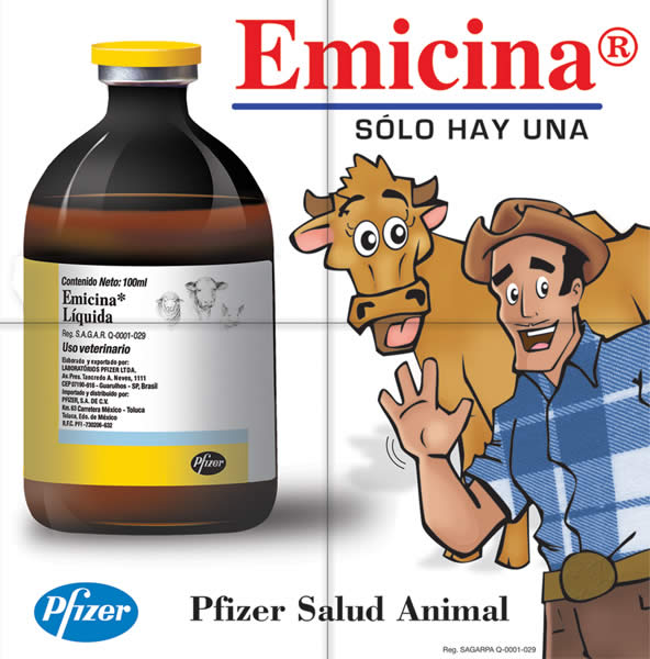Para la vaca - 2