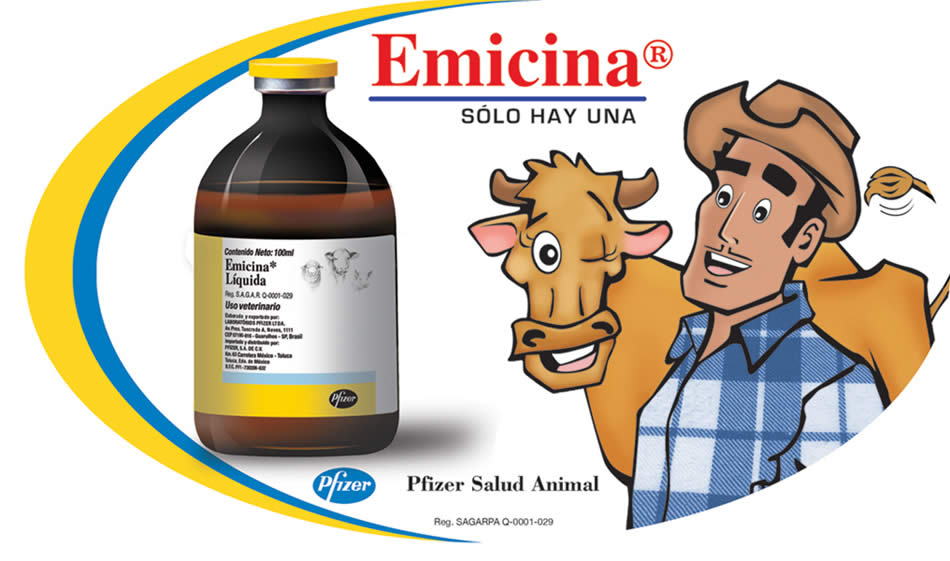 Para la vaca - 3