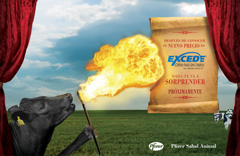 Excede baja de precio - 1
