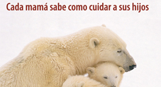 Cada mamá sabe cómo cuidar a sus hijos