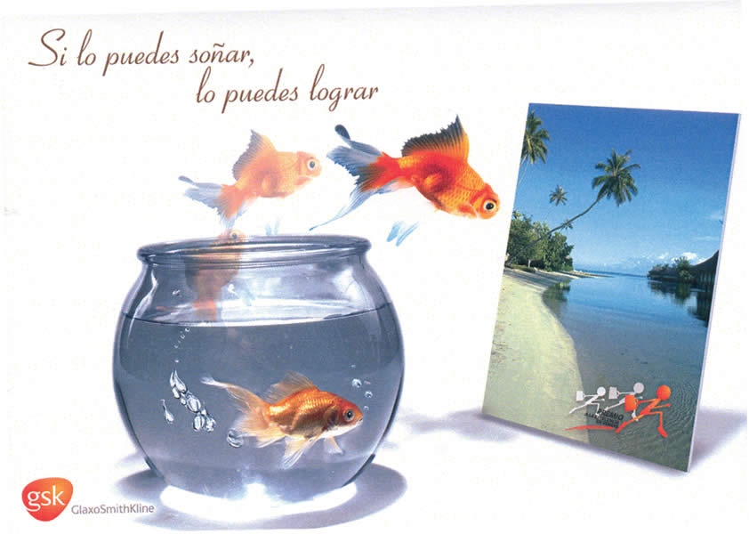 Premio a la Excelencia - 2