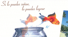 Premio a la Excelencia