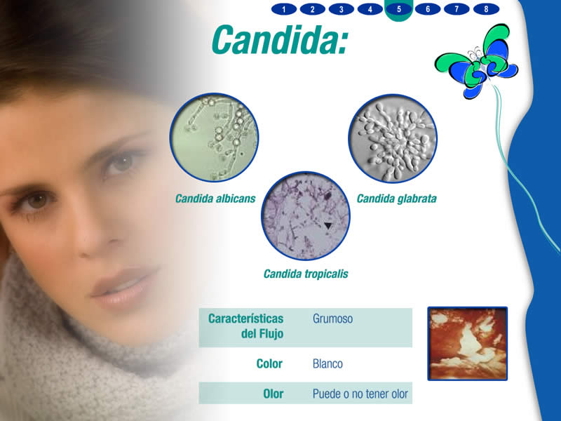 Gynoclin V Multimedia - 5