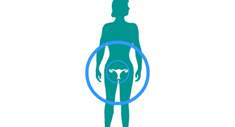 Gynoclin V Multimedia