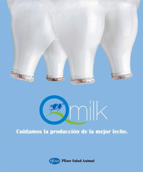 Botellas - 1