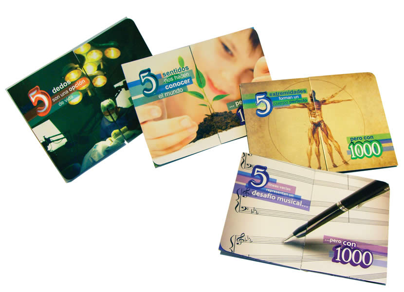Campaña 5 con 1000 - 1