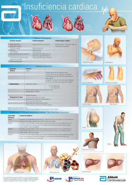 Cardio News - 6