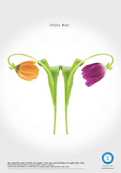 Flor - 1