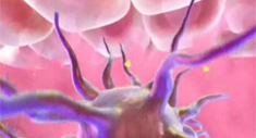 Mecanismo de Acción Humira Crohn