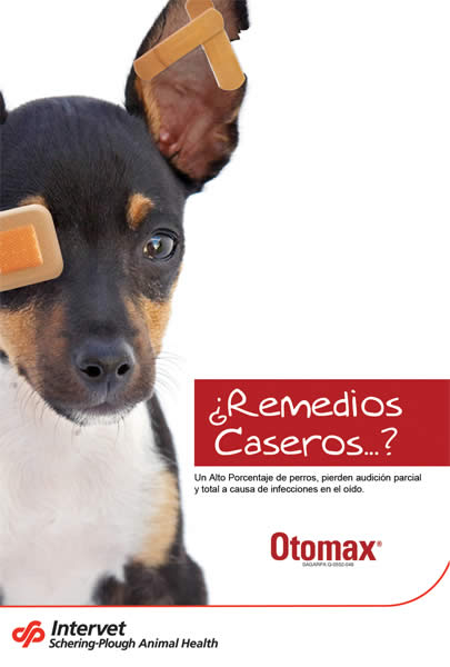 Remedios Caseros - 1