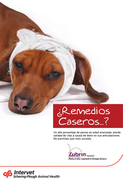 Remedios Caseros - 2