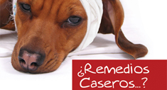 Remedios Caseros