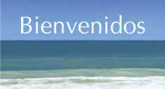 Comorbilidades Médico Psiquiátricas