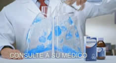 Pulmones