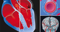 Cardiología de los años 2000