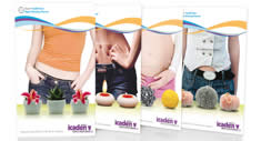 Campaña Icaden V