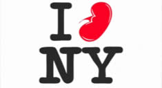 I love kidneys