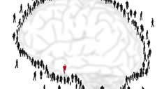 Cerebro