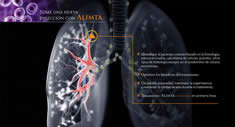 Pulmones