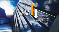 Aumente el HDL