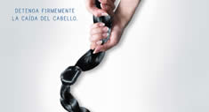 Ancla