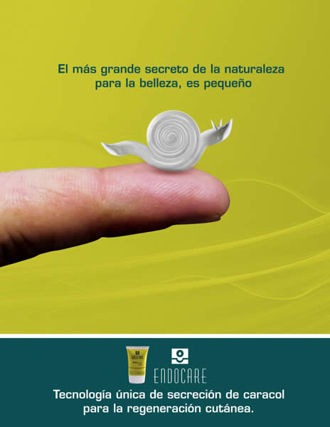 Caracol de crema - 1