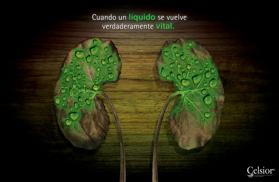 Líquido Vital - 1