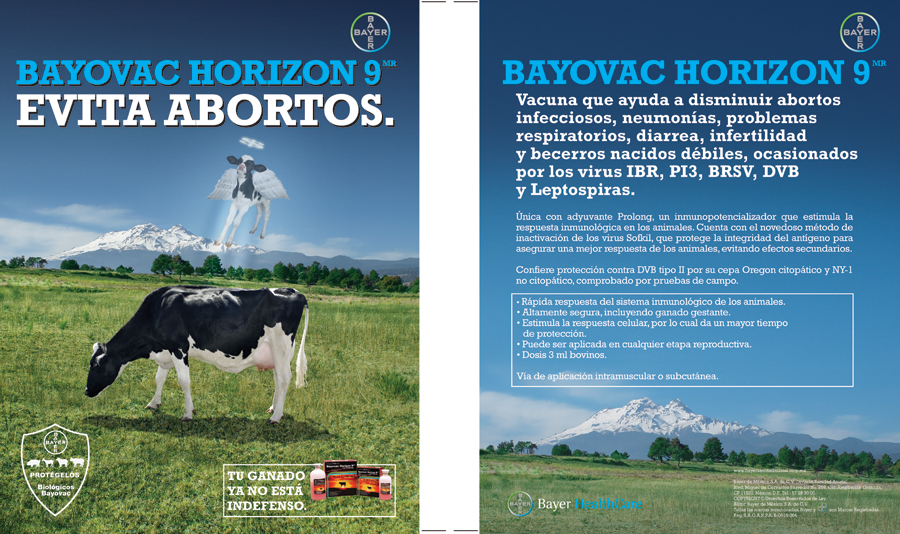 Vaca karateca - 4