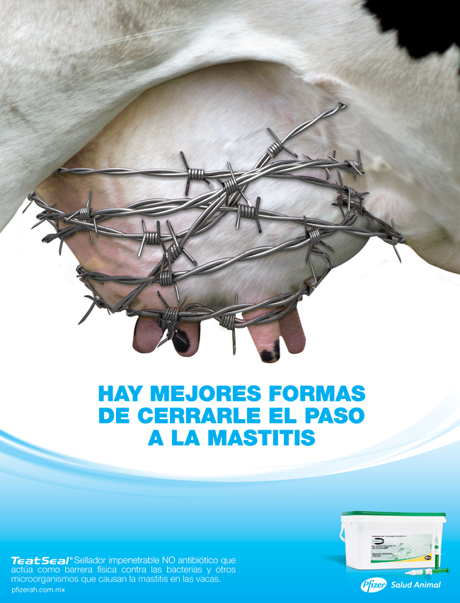 Mejores Formas - 1