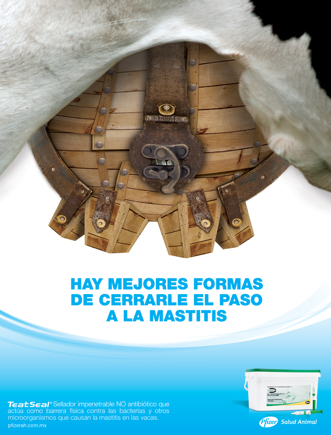 Mejores Formas - 2