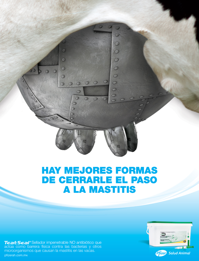 Mejores Formas - 3
