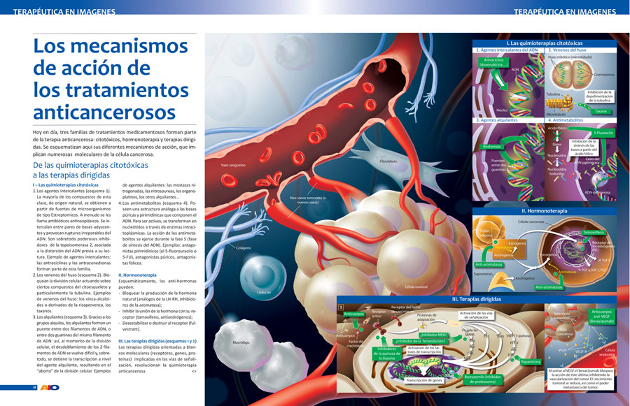 Actualidades e Innovaciones en Oncología - 2