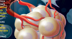 Actualidades e Innovaciones en Oncología
