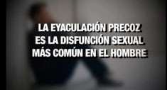 No al Rapidín
