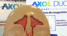 Axol Libre de Congestión