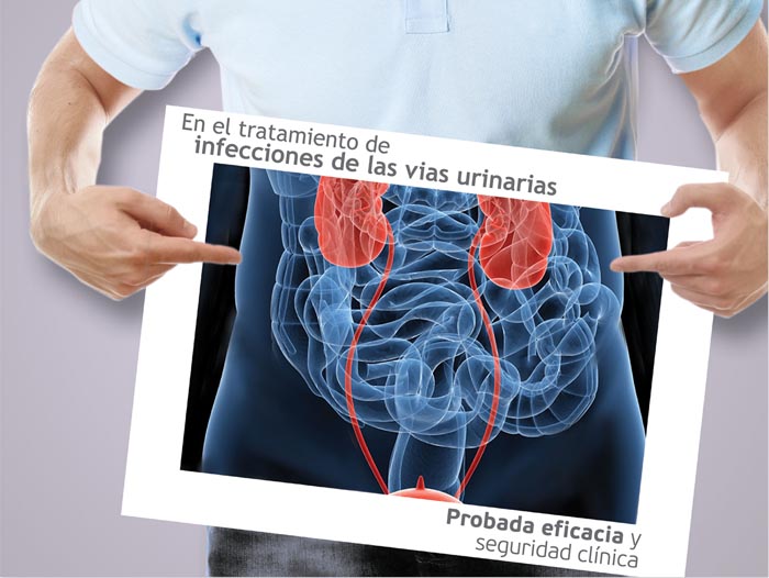 Seguridad Clínica - 3