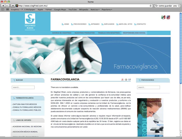 Página WEB Siegfried Rhein. - 2
