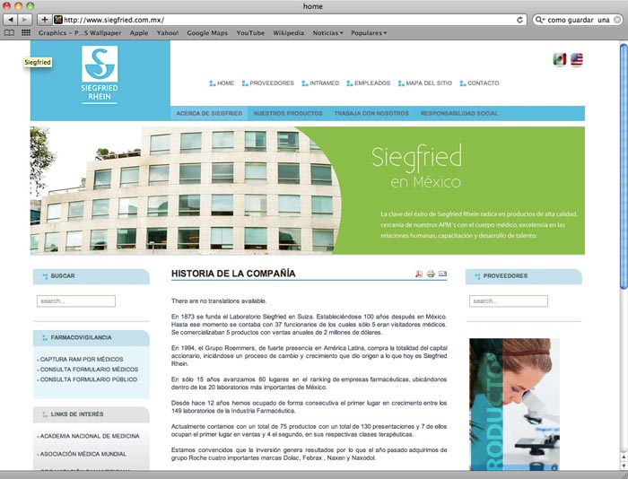 Página WEB Siegfried Rhein. - 5