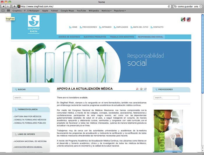 Página WEB Siegfried Rhein. - 10