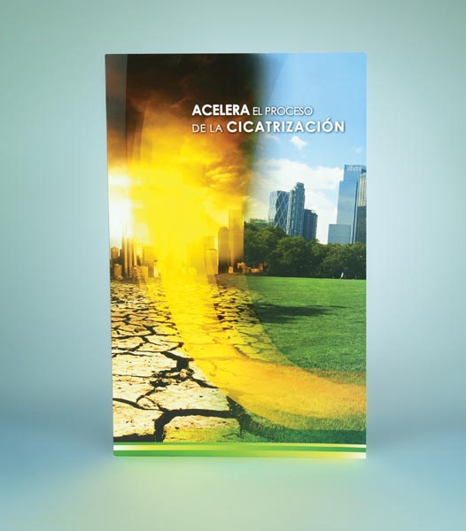 Ayuda Visual Recoveron - 1