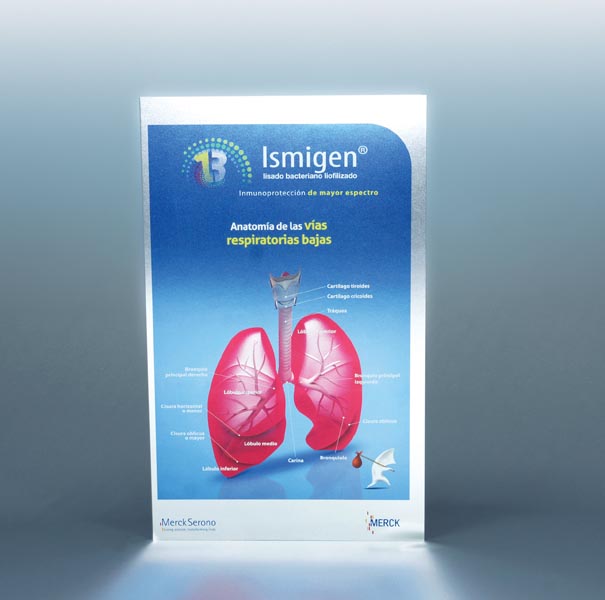 Campaña Ismigen - 3